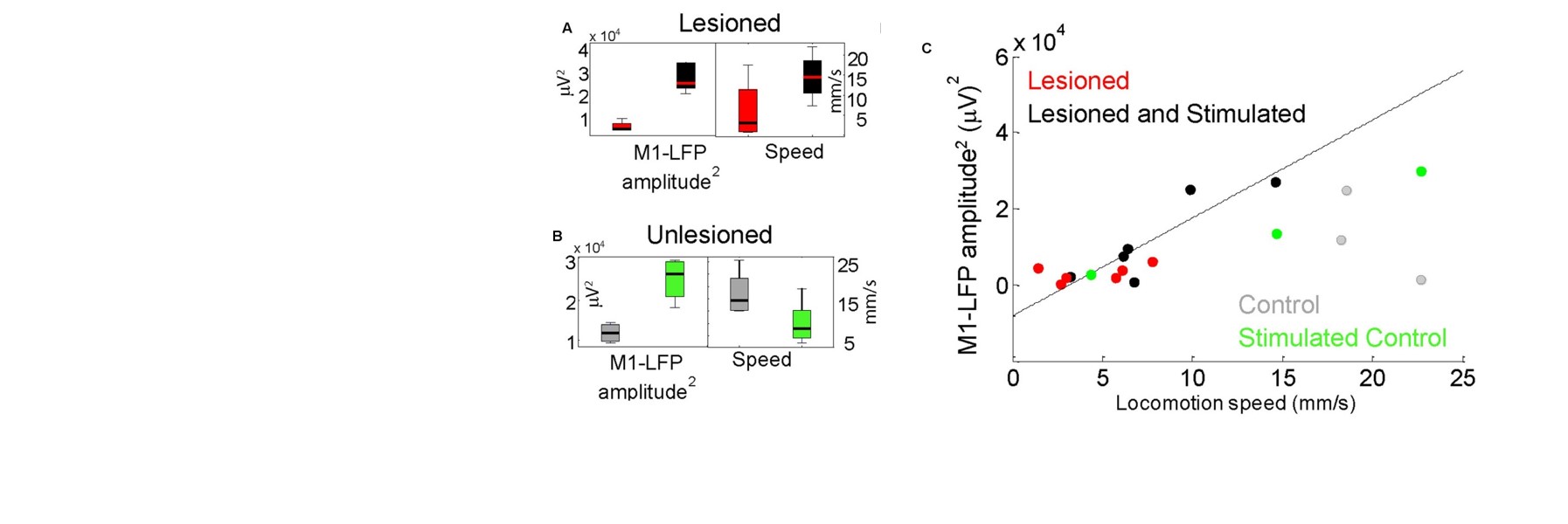 Stim. of M1-STN projections amplifies resting motor circuit activity (Front in Integrative Neurosci, 2017)