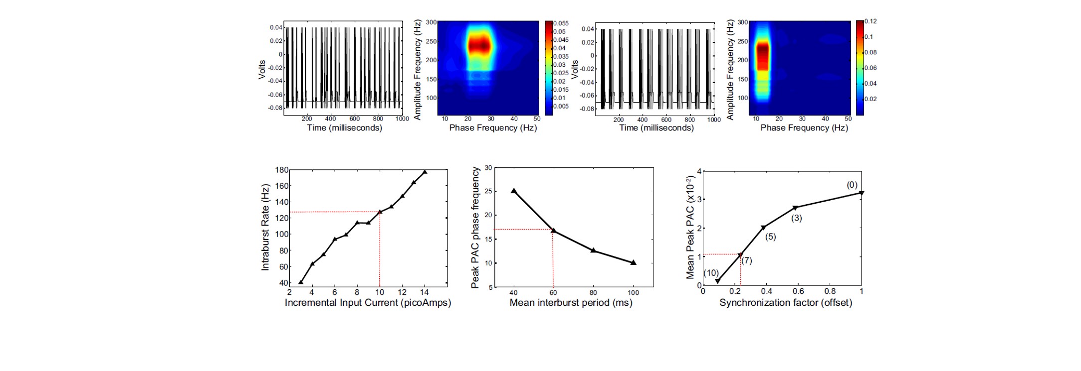 Phase-amplitude-coupling, a measure of bursting... (Journal of Neurophysiology, 2016)